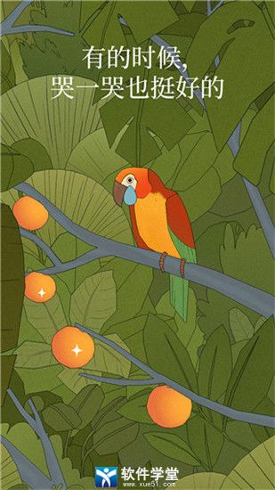 孤独的鸟儿安卓版