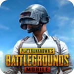 pubg国际服地铁逃生v2.7.0安卓版