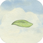 风子正版官方版