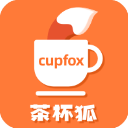 cupfox2025版