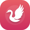 白天鹅视频大全最新版