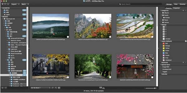 ACDsee pro mac版