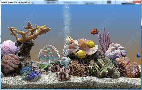 Marine Aquarium 3(3D水族馆动态屏保)