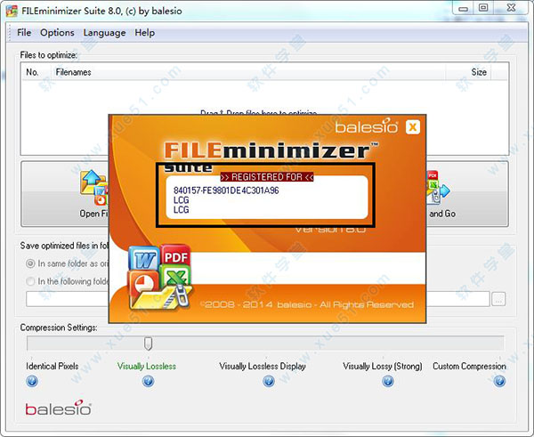 FILEminimizer Suite破解版