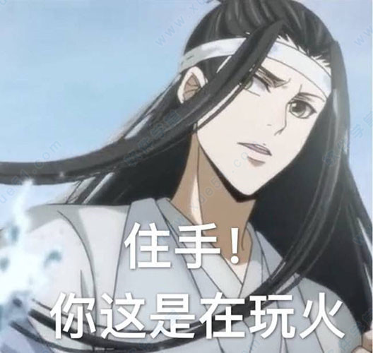 魔道祖师表情包