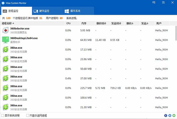 Wise System Monitor系统监视软件 中文版