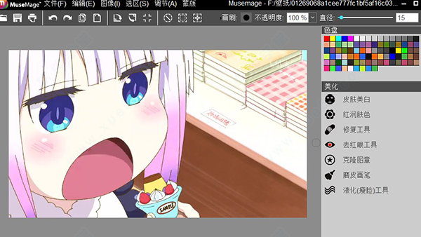 Musemage专业版破解版