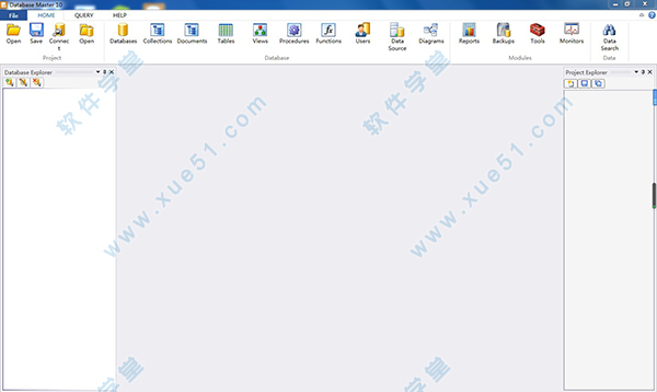 Nucleon Database Master 10专业破解版