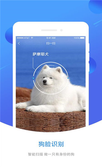 犬易