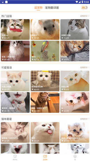 逗猫咪安卓版