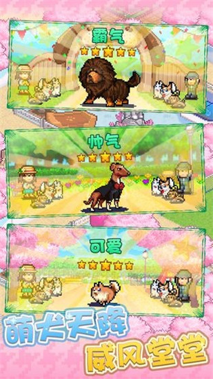 发现狗狗乐园正版