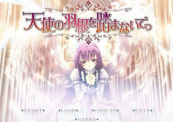 不要践踏天使的羽毛汉化硬盘版