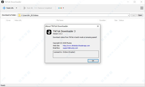 TikTok Downloader绿色版