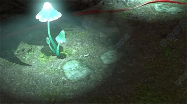 皮克敏3豪华版含特典