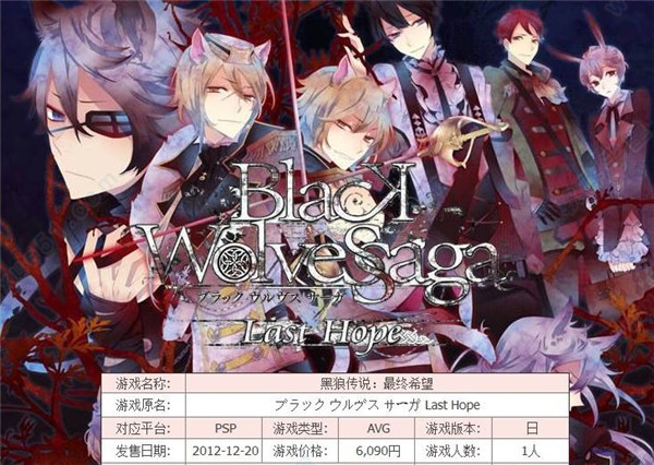 黑狼传说最终希望PC版