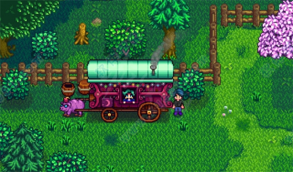 星露谷物语猪车在哪