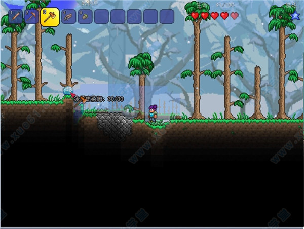 泰拉瑞亚大师模式肉山打法